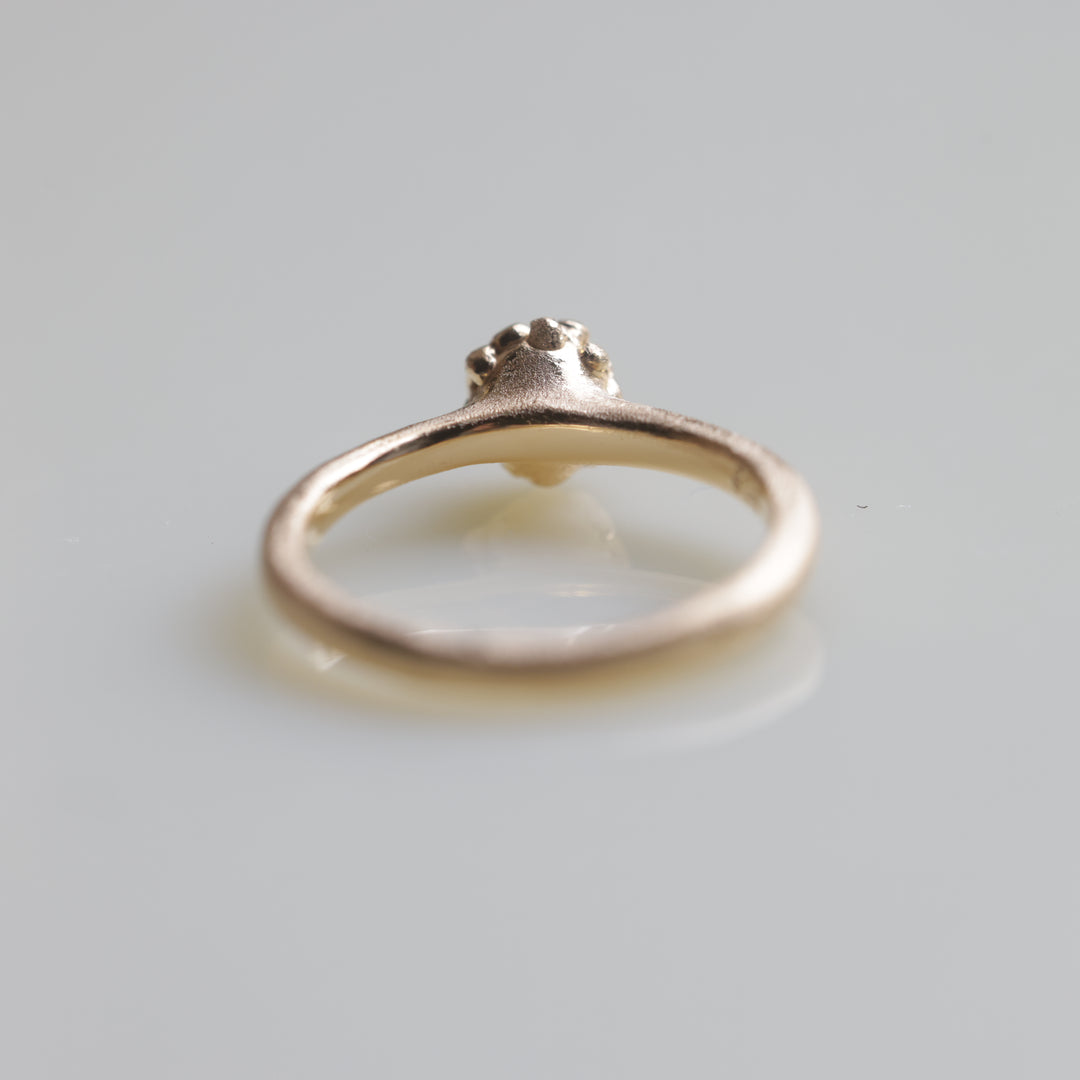 In The Box Series Ⅸ(#5)