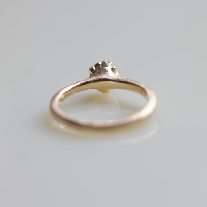 In The Box Series Ⅸ(#5)