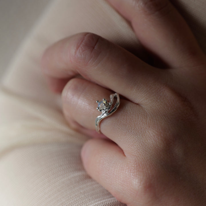 In The Box Series Ⅱ(#9)