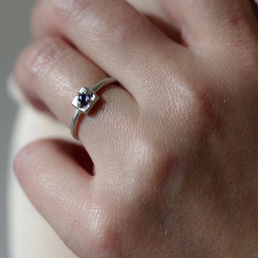 In The Box Series Ⅲ(#11)