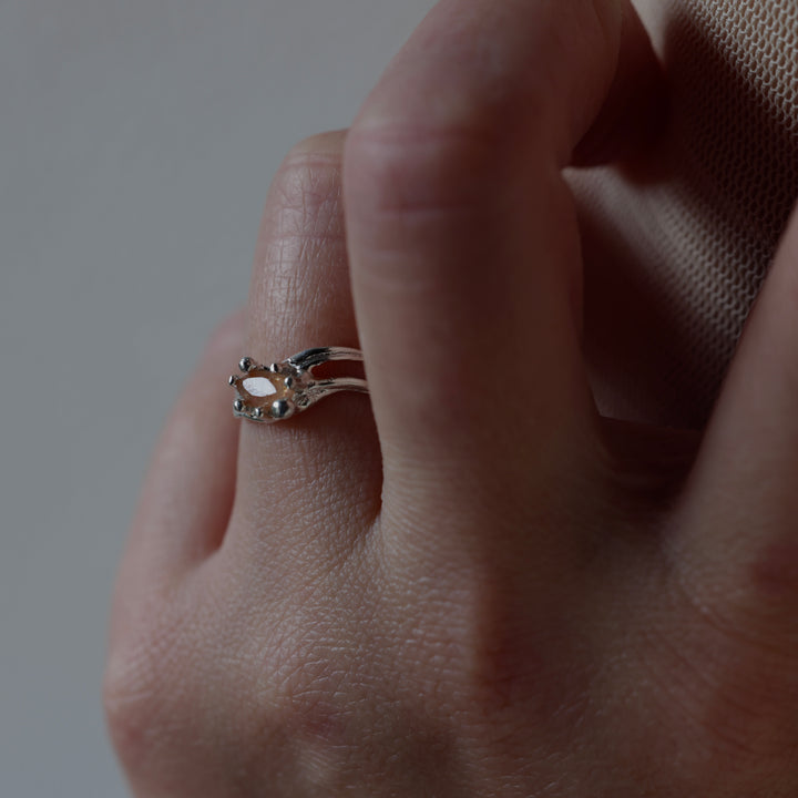 In The Box Series Ⅷ(#10)