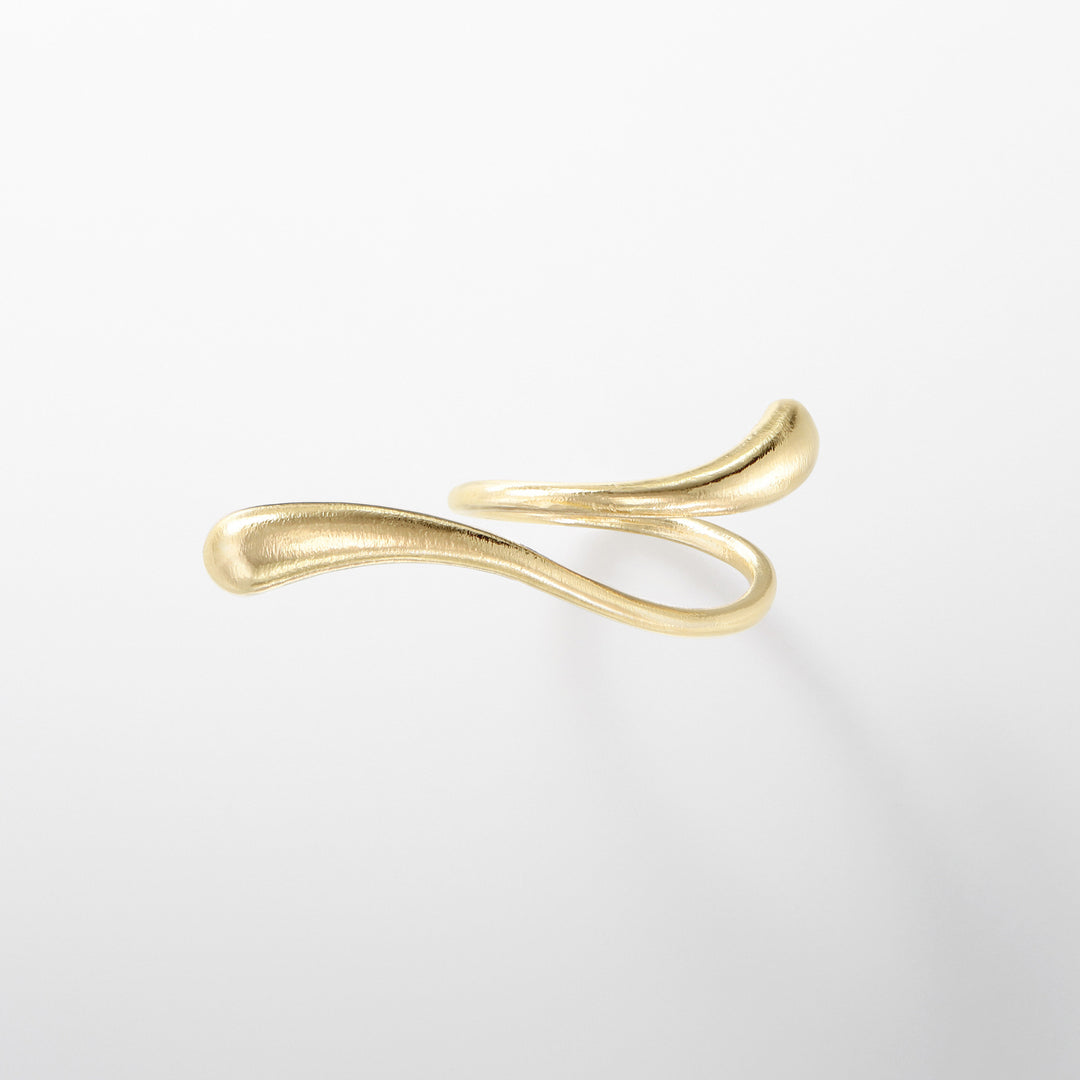 conscious to body-ring1