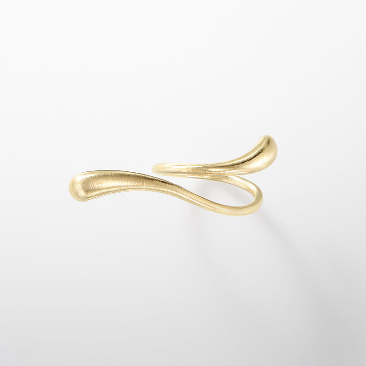 conscious to body-ring1