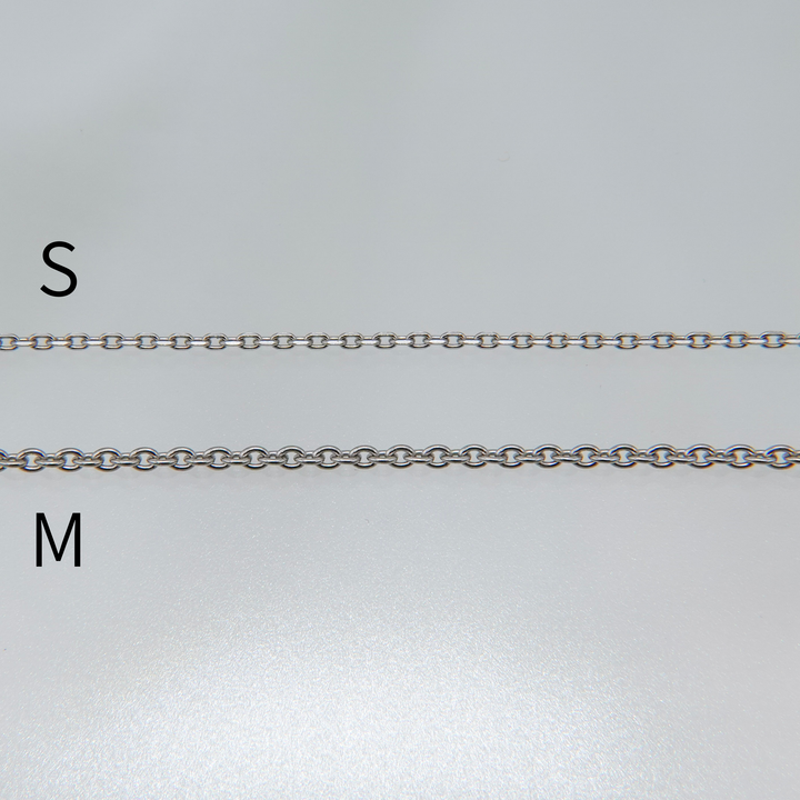 Silver Coin necklace