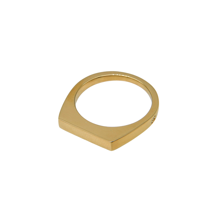 "Proto" signet  thin ring (GOLD)