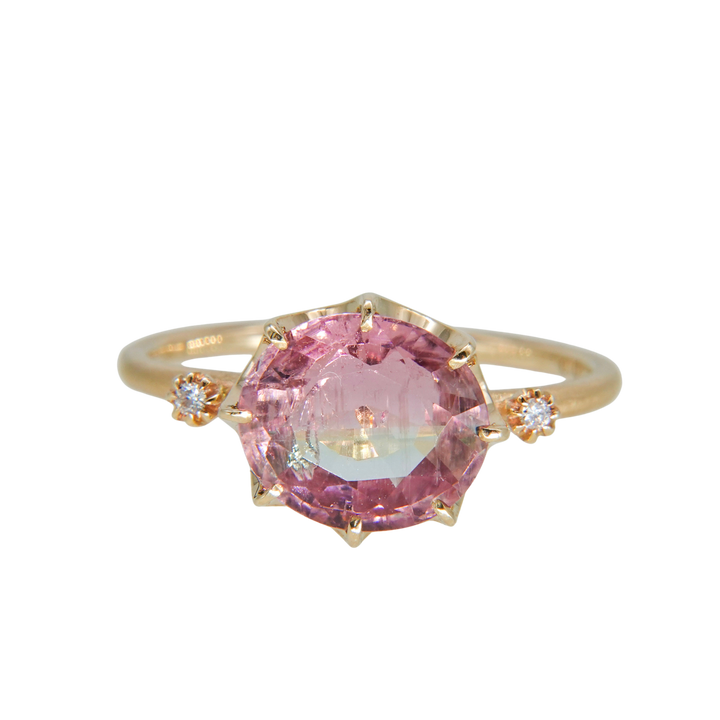 1875_Bicolor Tourmaline