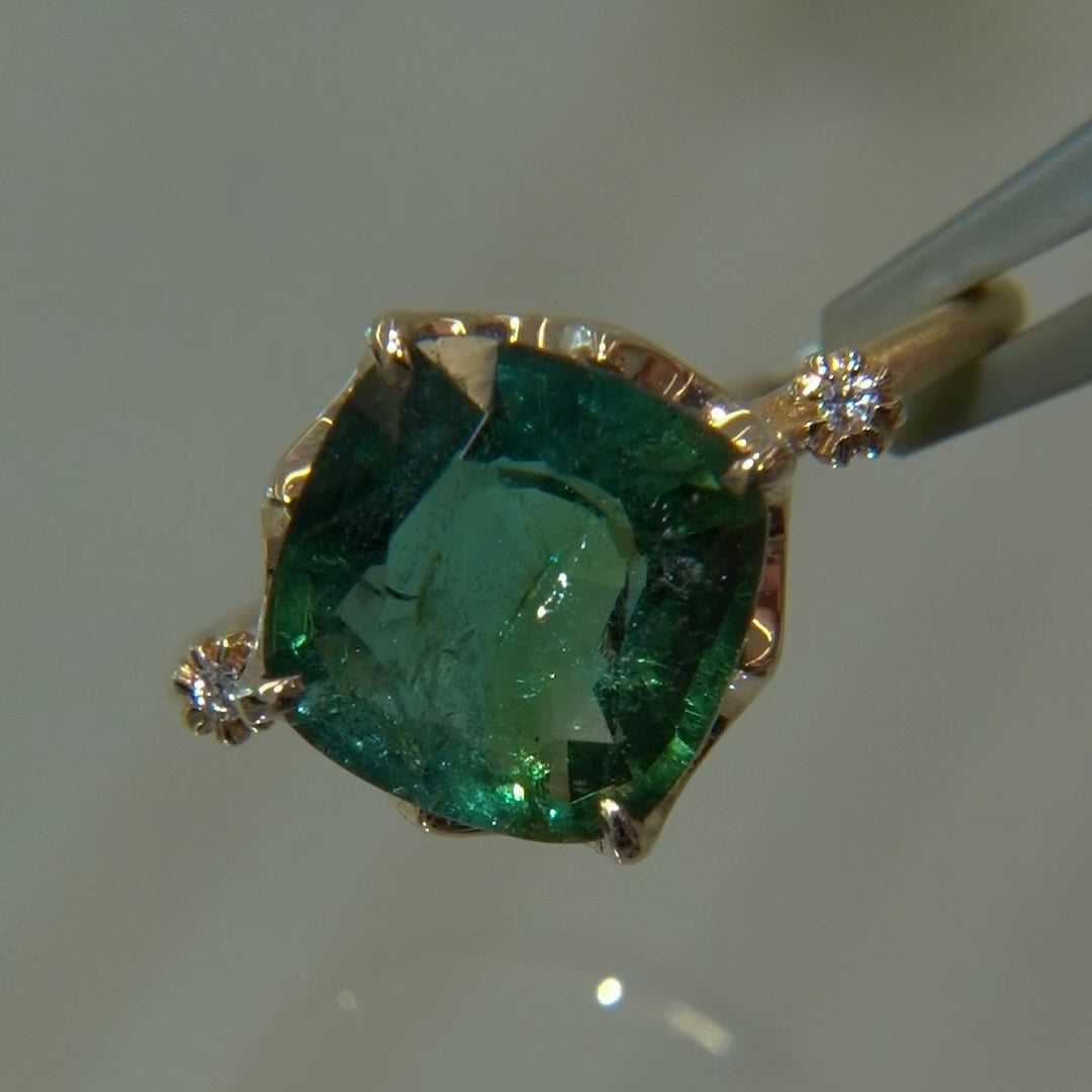 1876_Bicolor Tourmaline