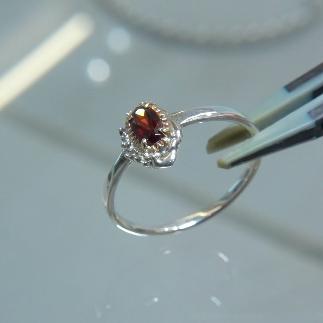 2336_Garnet